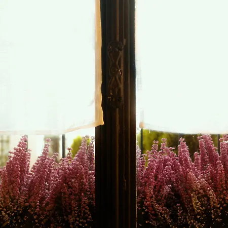 Heather's - Premium - Ponte Vecchio * Bassano del Grappa